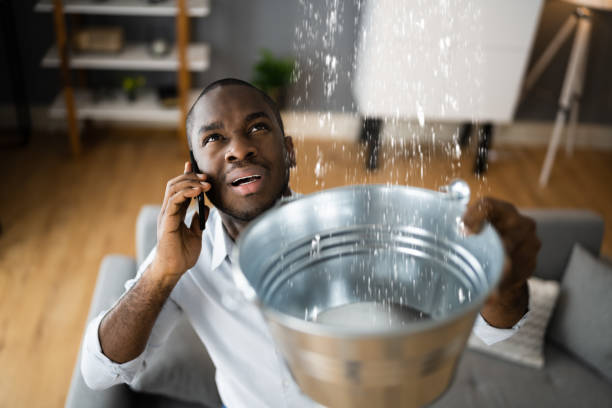 Best Flood restoration services  in Wasilla, AK
