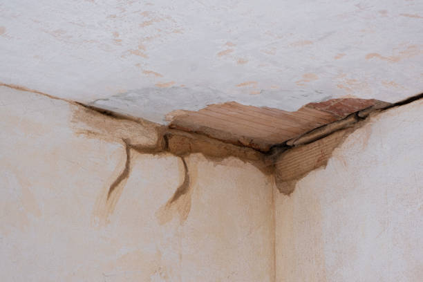 Best Residential water damage restoration  in Wasilla, AK