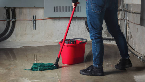 Best Mold removal after water damage  in Wasilla, AK