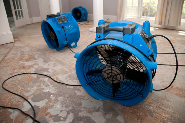 Best Water damage repair service  in Wasilla, AK