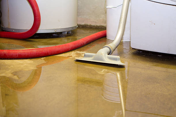 Best Water damage cleanup near me  in Wasilla, AK