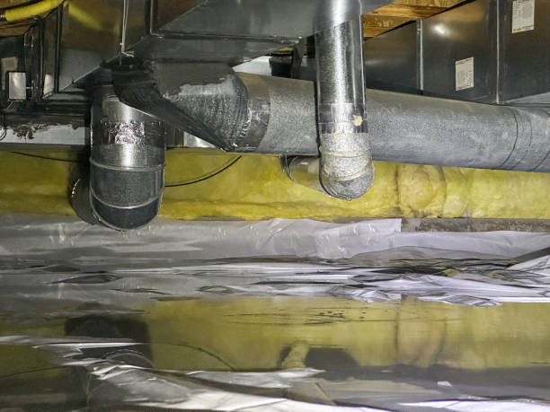 Best Professional water damage repair  in Wasilla, AK