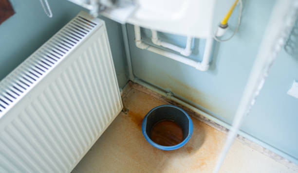 Best Water damage contractors near me  in Wasilla, AK