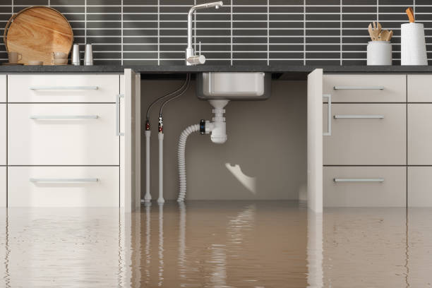  Wasilla, AK Water damage restoration Pros