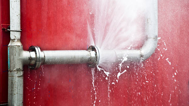 Best Water damage restoration near me  in Wasilla, AK